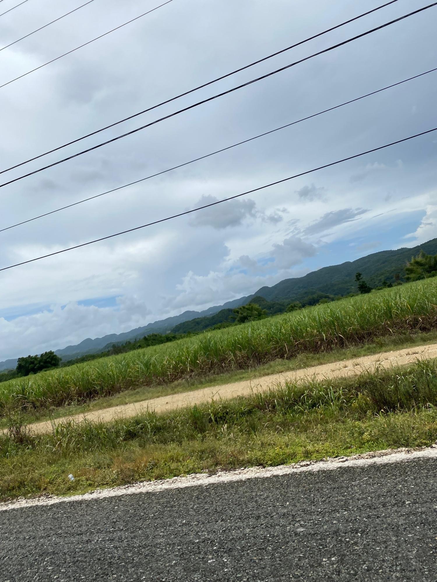 Fifteenth image of Evergreen, Balaclava in MILE GULLY, Manchester, Jamaica - property is For Sale