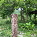 First image of Evergreen, Balaclava in MILE GULLY, Manchester, Jamaica - property is For Sale