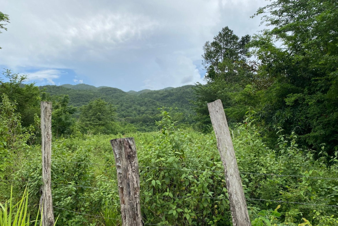 Third image of Evergreen, Balaclava in MILE GULLY, Manchester, Jamaica - property is For Sale