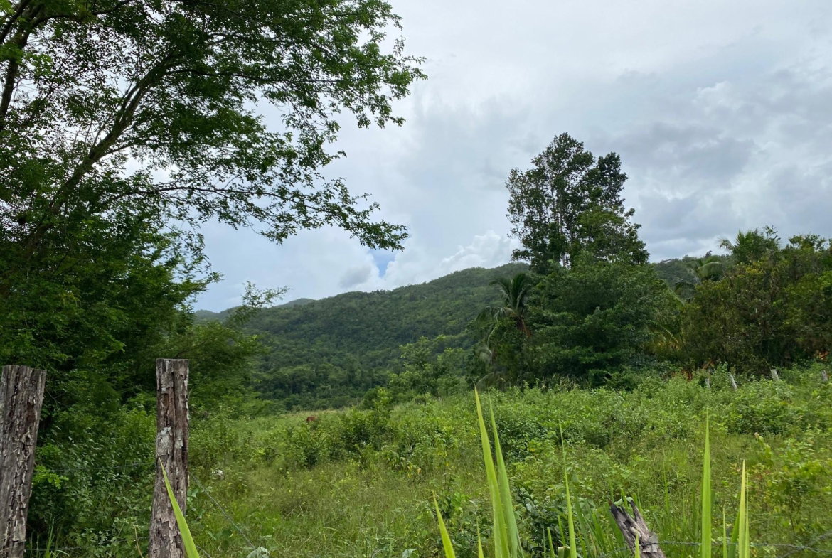 Sixth image of Evergreen, Balaclava in MILE GULLY, Manchester, Jamaica - property is For Sale