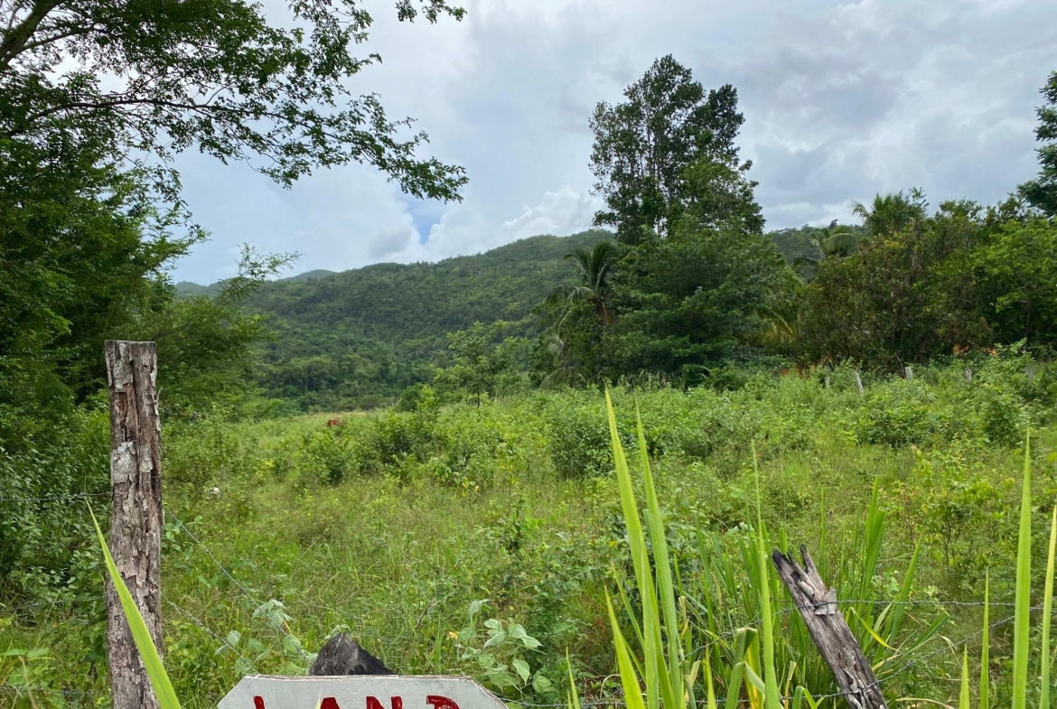 Seventh image of Evergreen, Balaclava in MILE GULLY, Manchester, Jamaica - property is For Sale