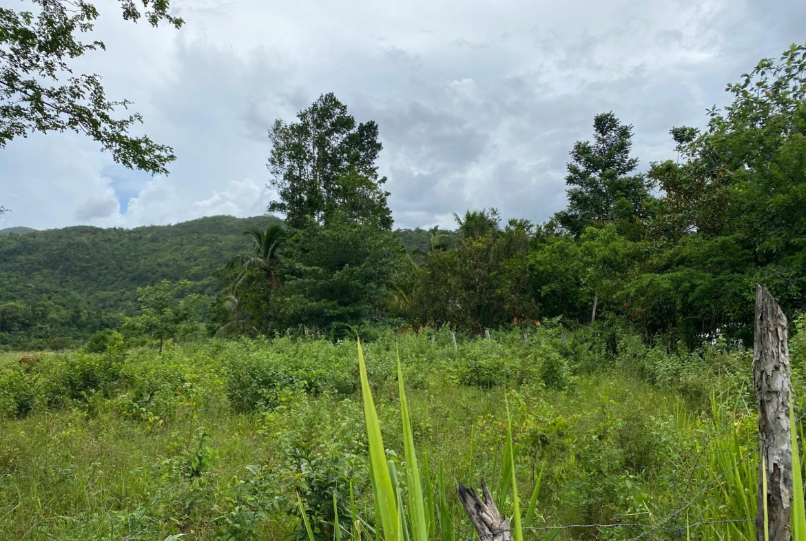 Eighth image of Evergreen, Balaclava in MILE GULLY, Manchester, Jamaica - property is For Sale