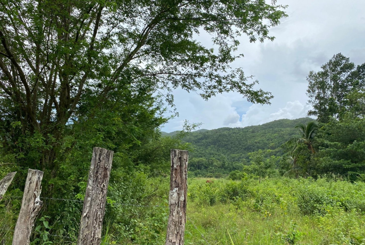Tenth image of Evergreen, Balaclava in MILE GULLY, Manchester, Jamaica - property is For Sale