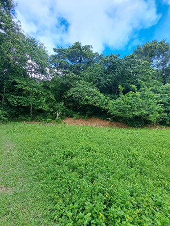 Second image of Lot 85 Grange Hill in Grange Hill, Portland, Jamaica - property is For Sale