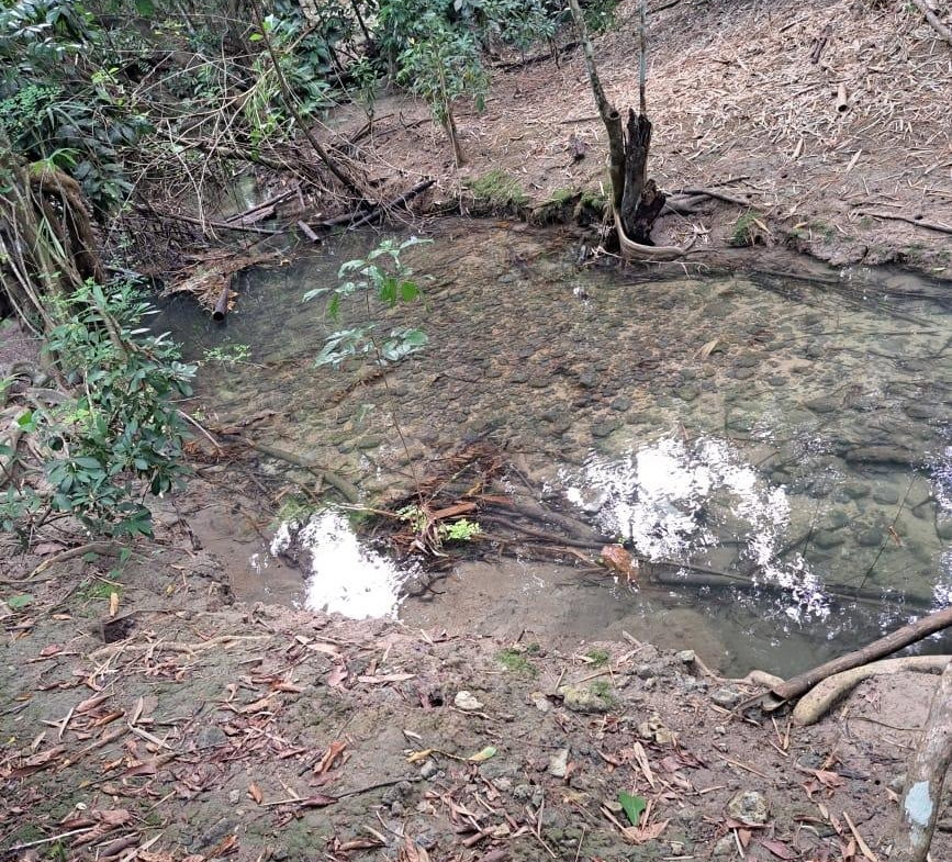 Sixth image of Lot 85 Grange Hill in Grange Hill, Portland, Jamaica - property is For Sale