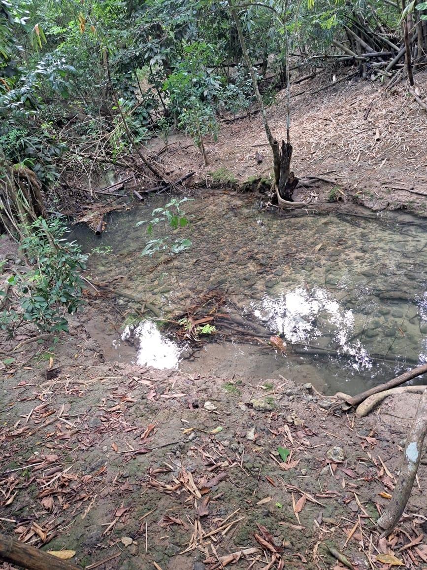 Sixth image of Lot 85 Grange Hill in Grange Hill, Portland, Jamaica - property is For Sale