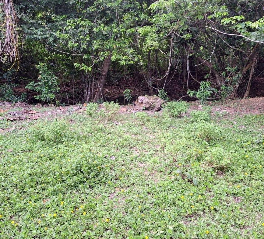 First image of Lot 85 Grange Hill in Grange Hill, Portland, Jamaica - property is For Sale