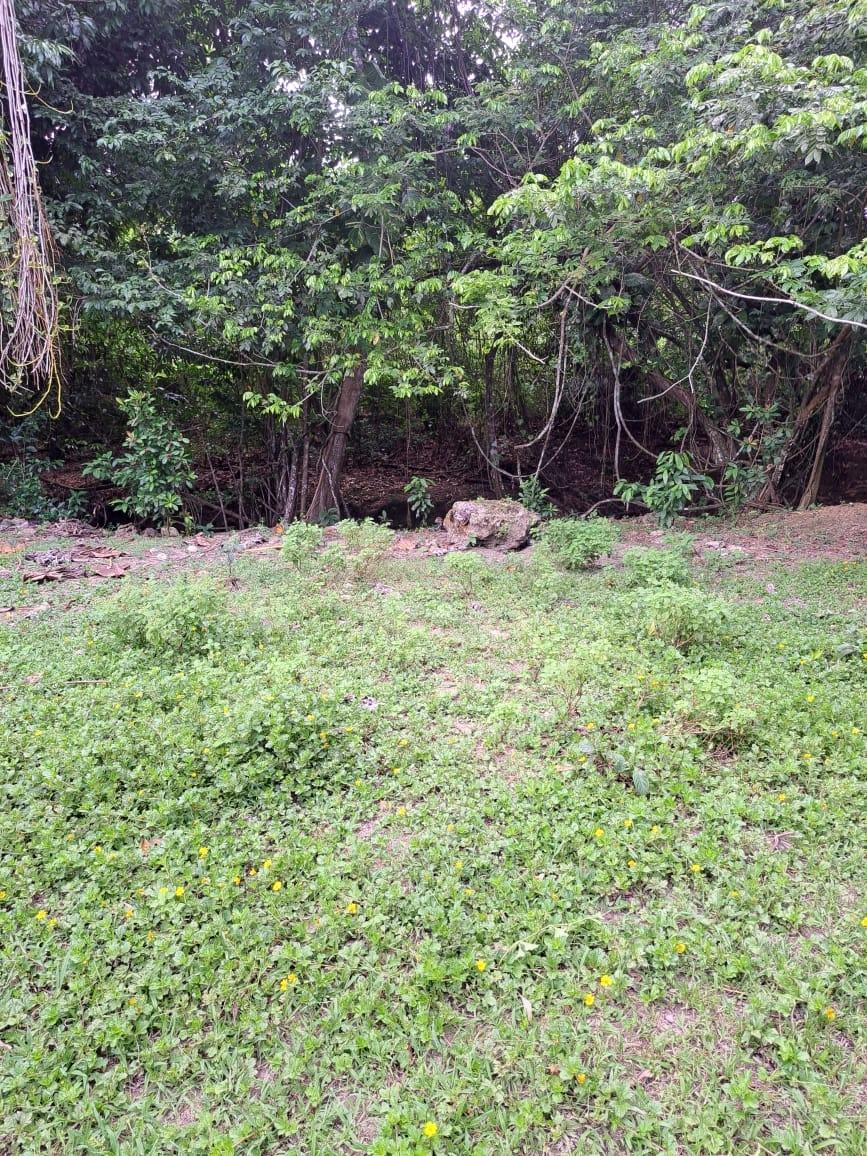 First image of Lot 85 Grange Hill in Grange Hill, Portland, Jamaica - property is For Sale