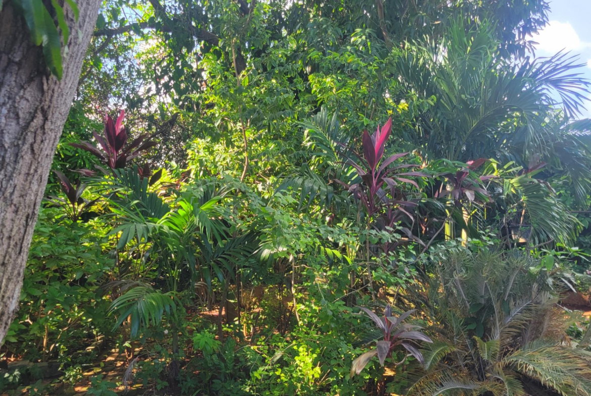 Seventeenth image of 30 St. Paul's Way, Green Acr in Green Acres, St. Catherine, Jamaica - property is For Sale