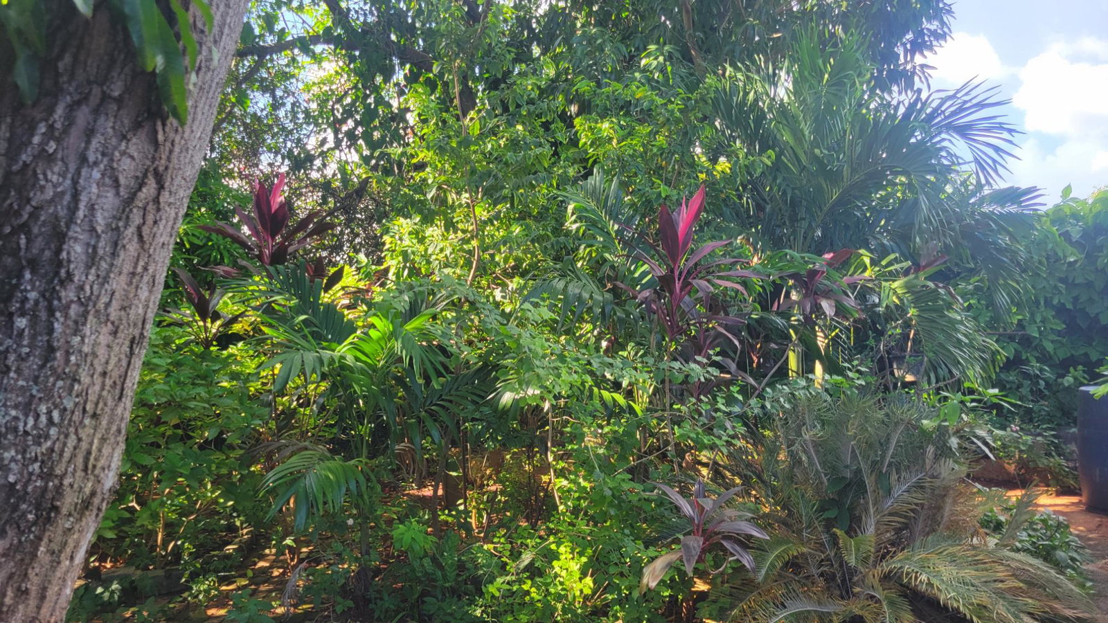 Seventeenth image of 30 St. Paul's Way, Green Acr in Green Acres, St. Catherine, Jamaica - property is For Sale