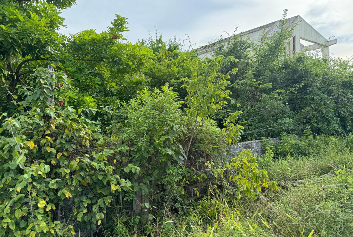 Ninth image of 16 Trenton Crescent, Maypen in Trenton, Clarendon, Jamaica - property is For Sale
