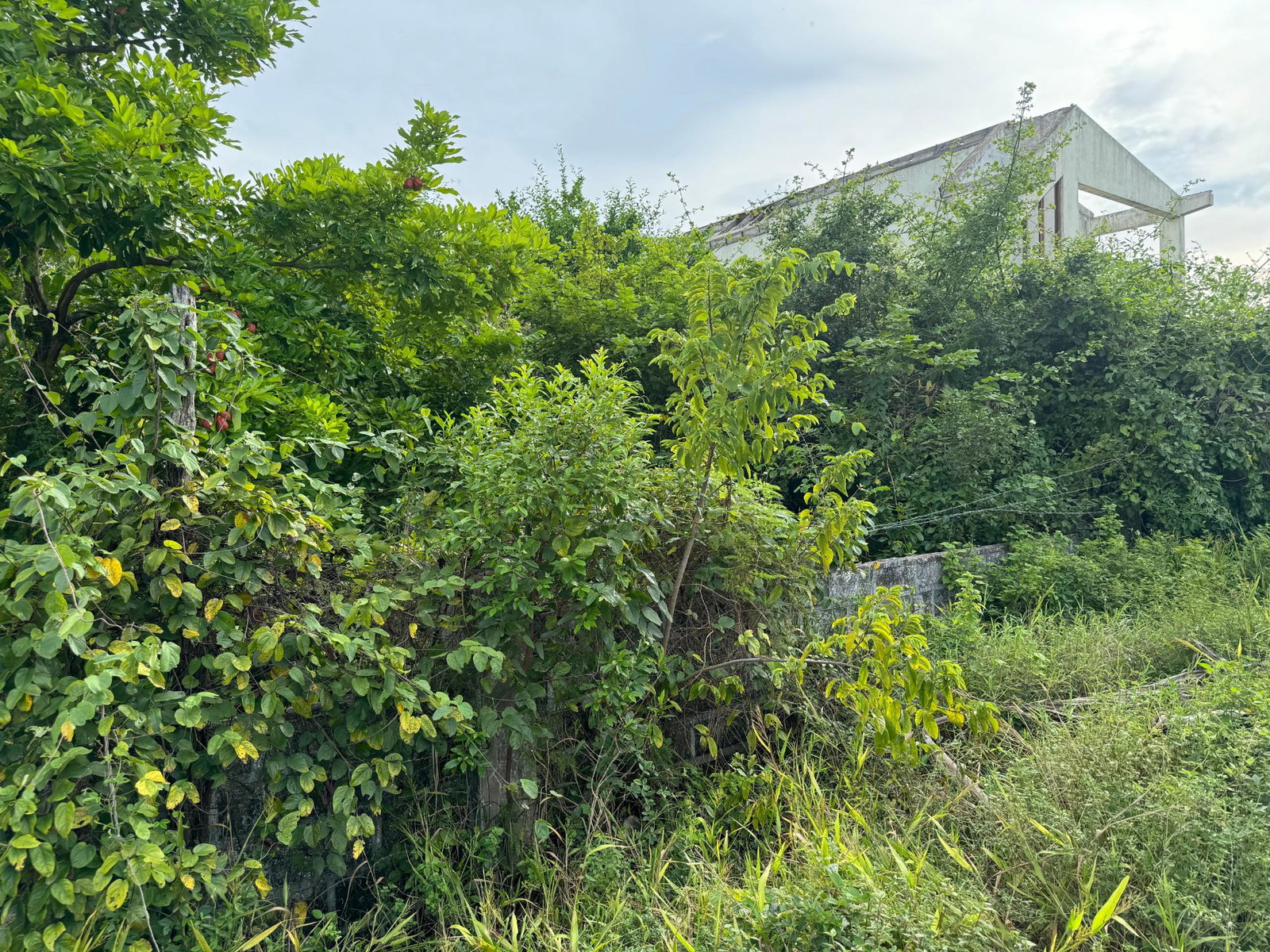 Ninth image of 16 Trenton Crescent, Maypen in Trenton, Clarendon, Jamaica - property is For Sale