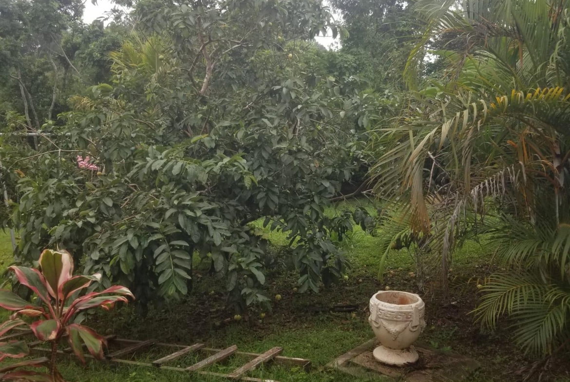 Twentieth image of Lot 6 The Ridge, Hopeton in Mandeville, Manchester, Jamaica - property is For Sale