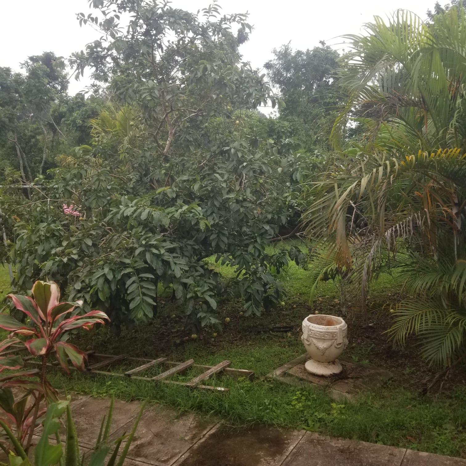 Twentieth image of Lot 6 The Ridge, Hopeton in Mandeville, Manchester, Jamaica - property is For Sale