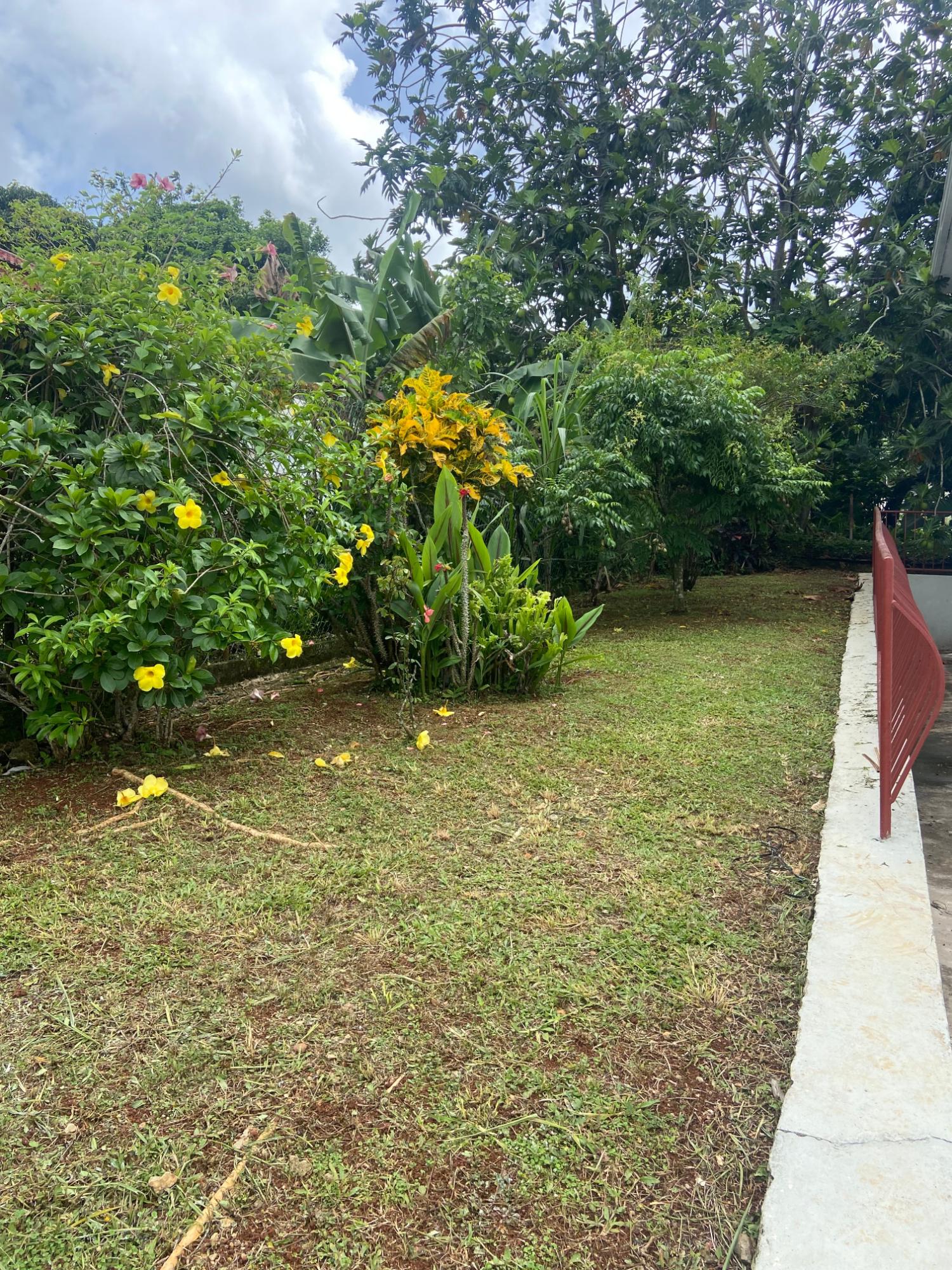 Ninth image of 34 Bougainvillea, Hope Vill in Mandeville, Manchester, Jamaica - property is For Sale