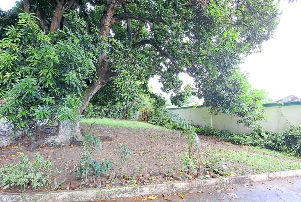 Sixth image of 20 New Haven Ave Kgn 6 in Kingston 6, St. Andrew, Jamaica - property is For Sale