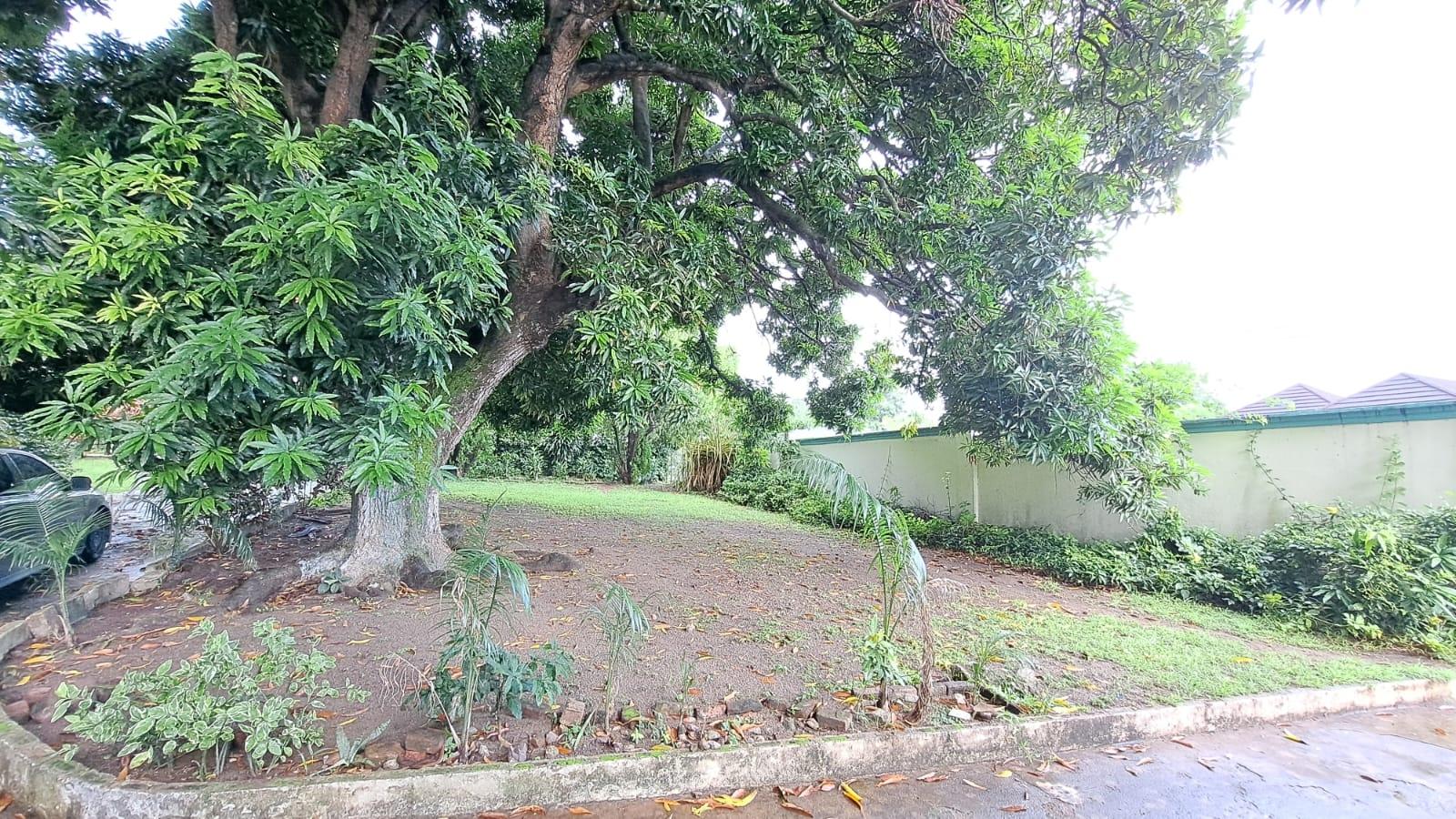 Sixth image of 20 New Haven Ave Kgn 6 in Kingston 6, St. Andrew, Jamaica - property is For Sale