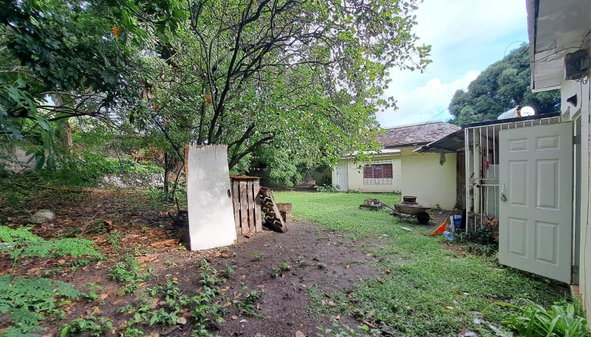 Tenth image of 20 New Haven Ave Kgn 6 in Kingston 6, St. Andrew, Jamaica - property is For Sale