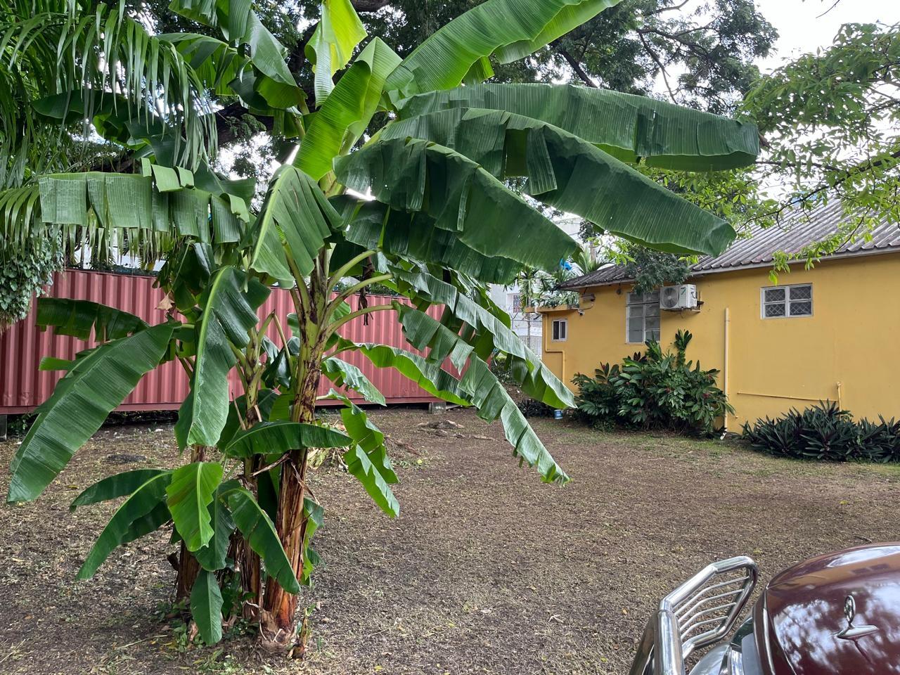 Eighth image of 6 Waterloo Way in Kingston 10, St. Andrew, Jamaica - property is For Sale