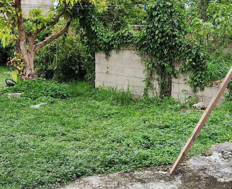 Second image of 1 Great Pond in Ocho Rios, St. Ann, Jamaica - property is For Sale