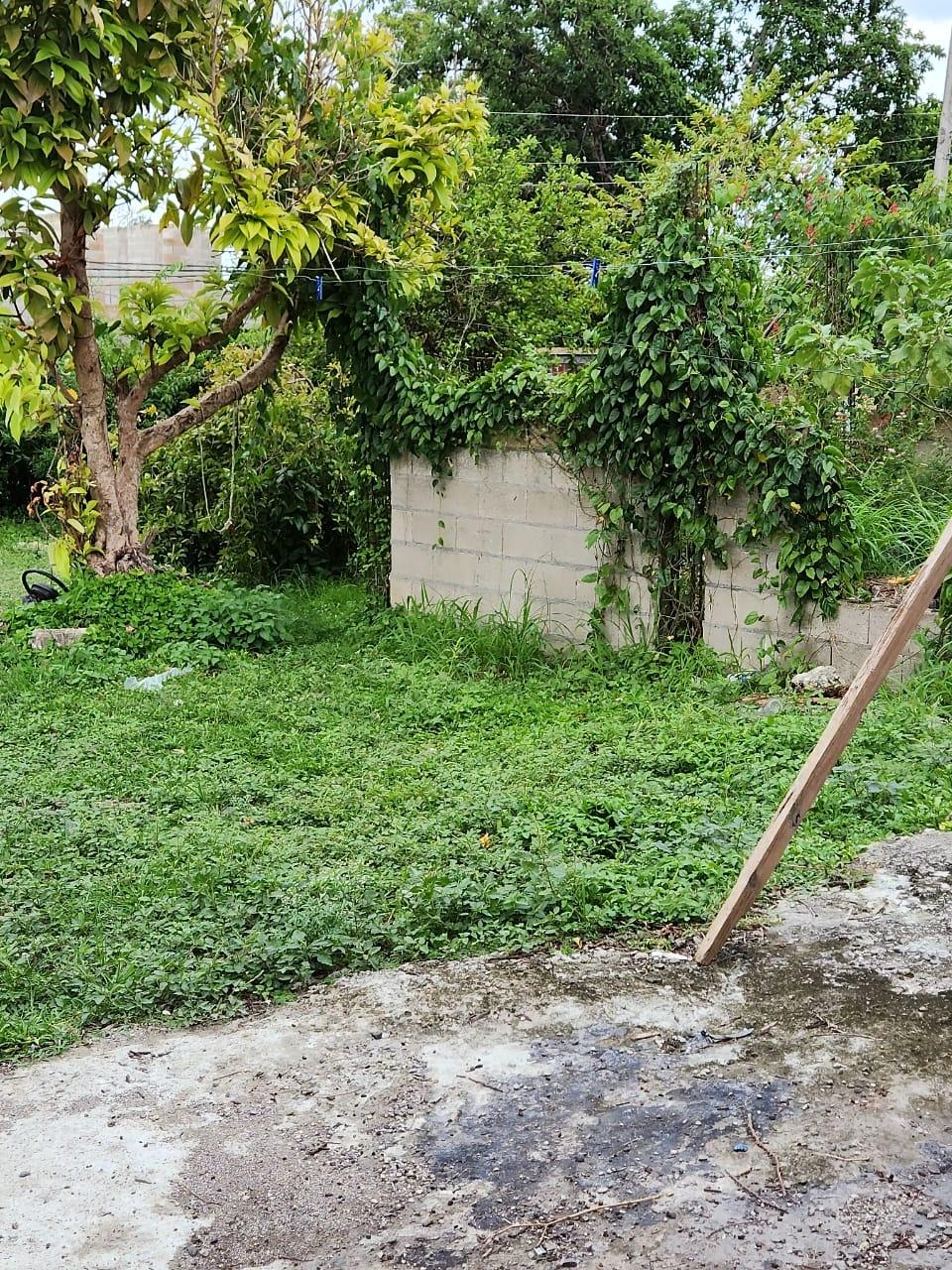 Second image of 1 Great Pond in Ocho Rios, St. Ann, Jamaica - property is For Sale