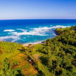 First image of Ross Craig in Manchioneal, Portland, Jamaica - property is For Sale