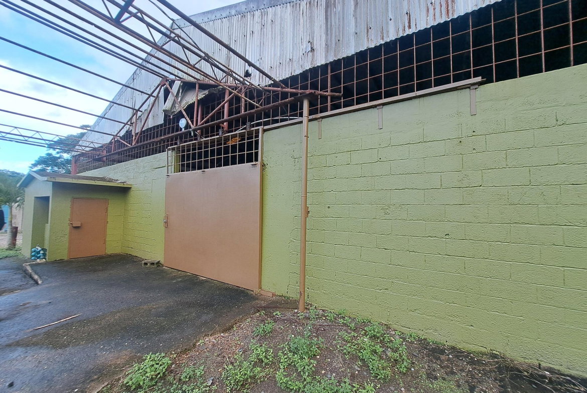 Ninth image of Eden Park, Jacks River in Eden Park, St. Mary, Jamaica - property is For Sale