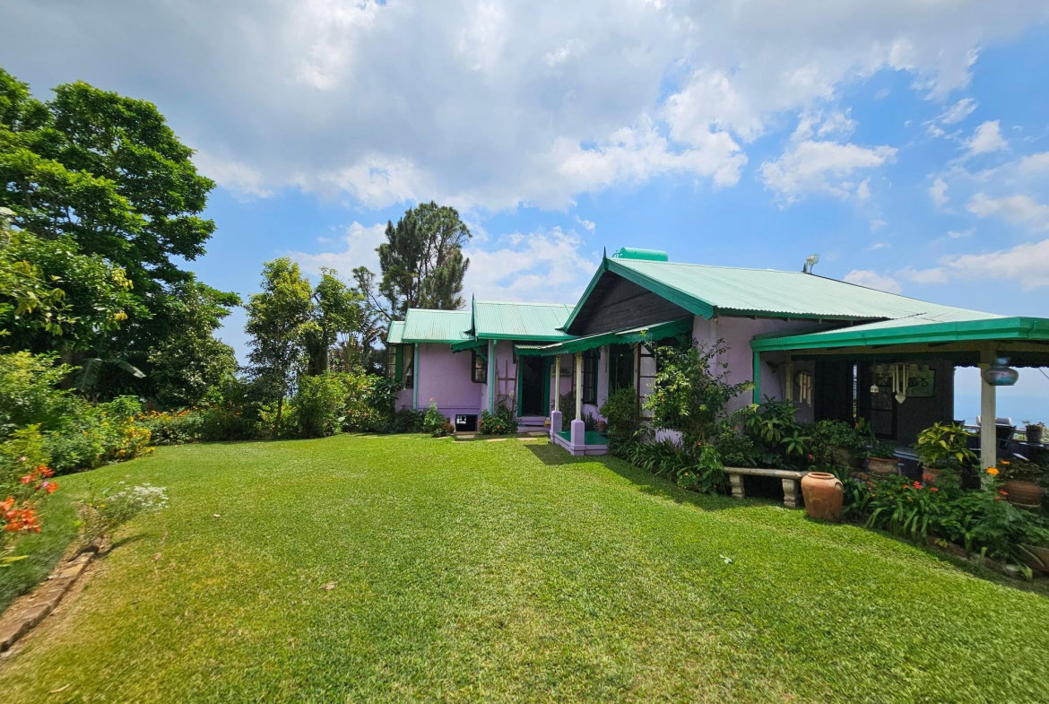 Second image of Honey Hill Flamstead in Flamstead, St. Andrew, Jamaica - property is For Sale