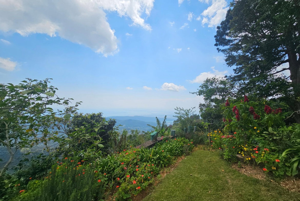 Sixteenth image of Honey Hill Flamstead in Flamstead, St. Andrew, Jamaica - property is For Sale