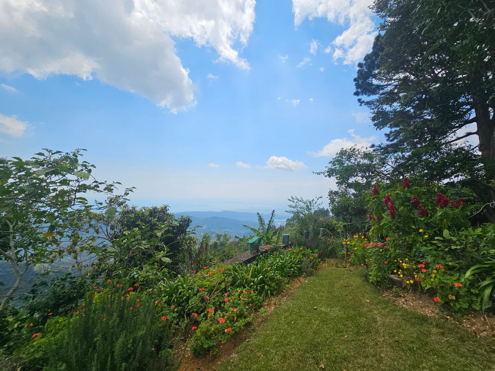 Sixteenth image of Honey Hill Flamstead in Flamstead, St. Andrew, Jamaica - property is For Sale