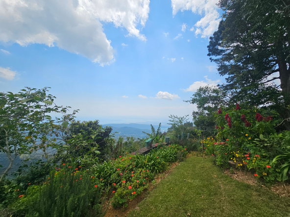 Sixteenth image of Honey Hill Flamstead in Flamstead, St. Andrew, Jamaica - property is For Sale