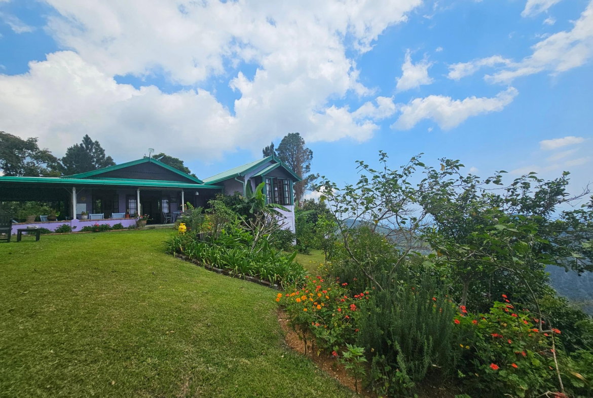 Seventeenth image of Honey Hill Flamstead in Flamstead, St. Andrew, Jamaica - property is For Sale