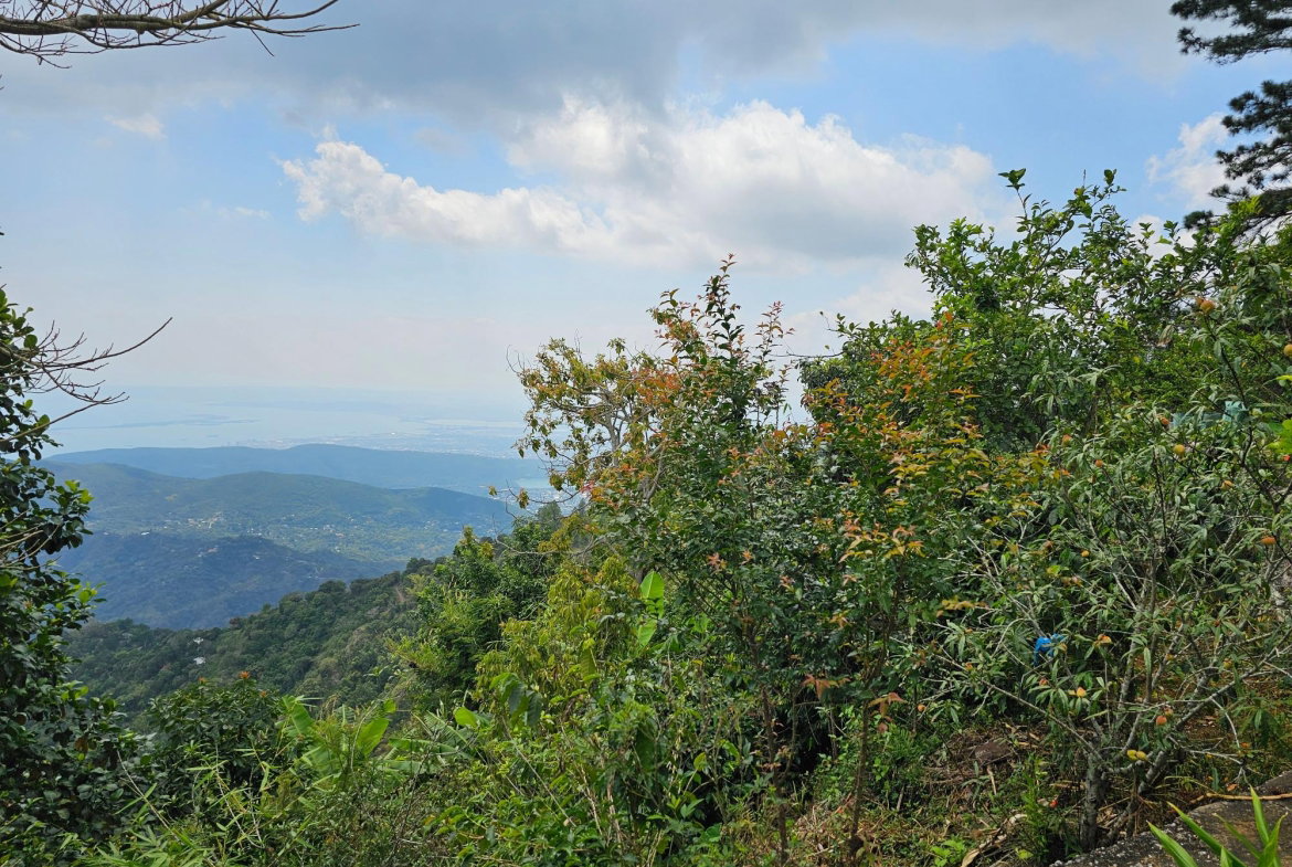 Nineteenth image of Honey Hill Flamstead in Flamstead, St. Andrew, Jamaica - property is For Sale