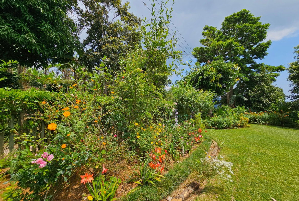 Twenty-Third image of Honey Hill Flamstead in Flamstead, St. Andrew, Jamaica - property is For Sale