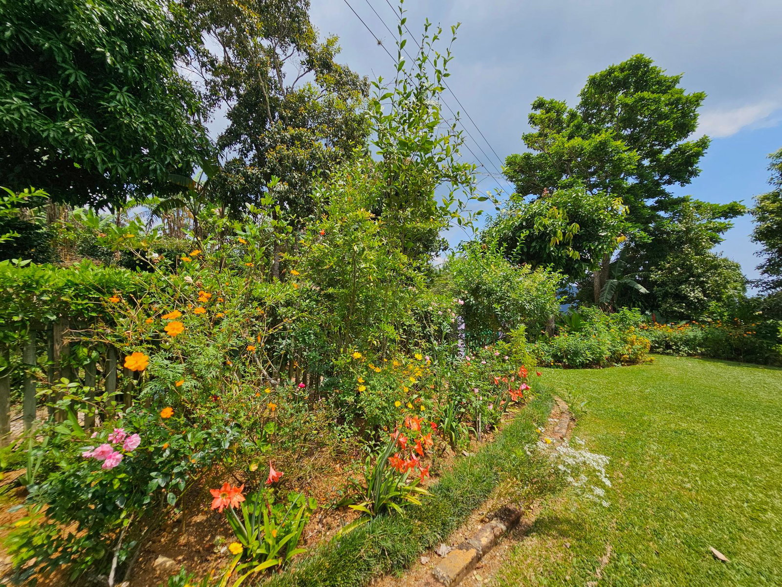 Twenty-Third image of Honey Hill Flamstead in Flamstead, St. Andrew, Jamaica - property is For Sale