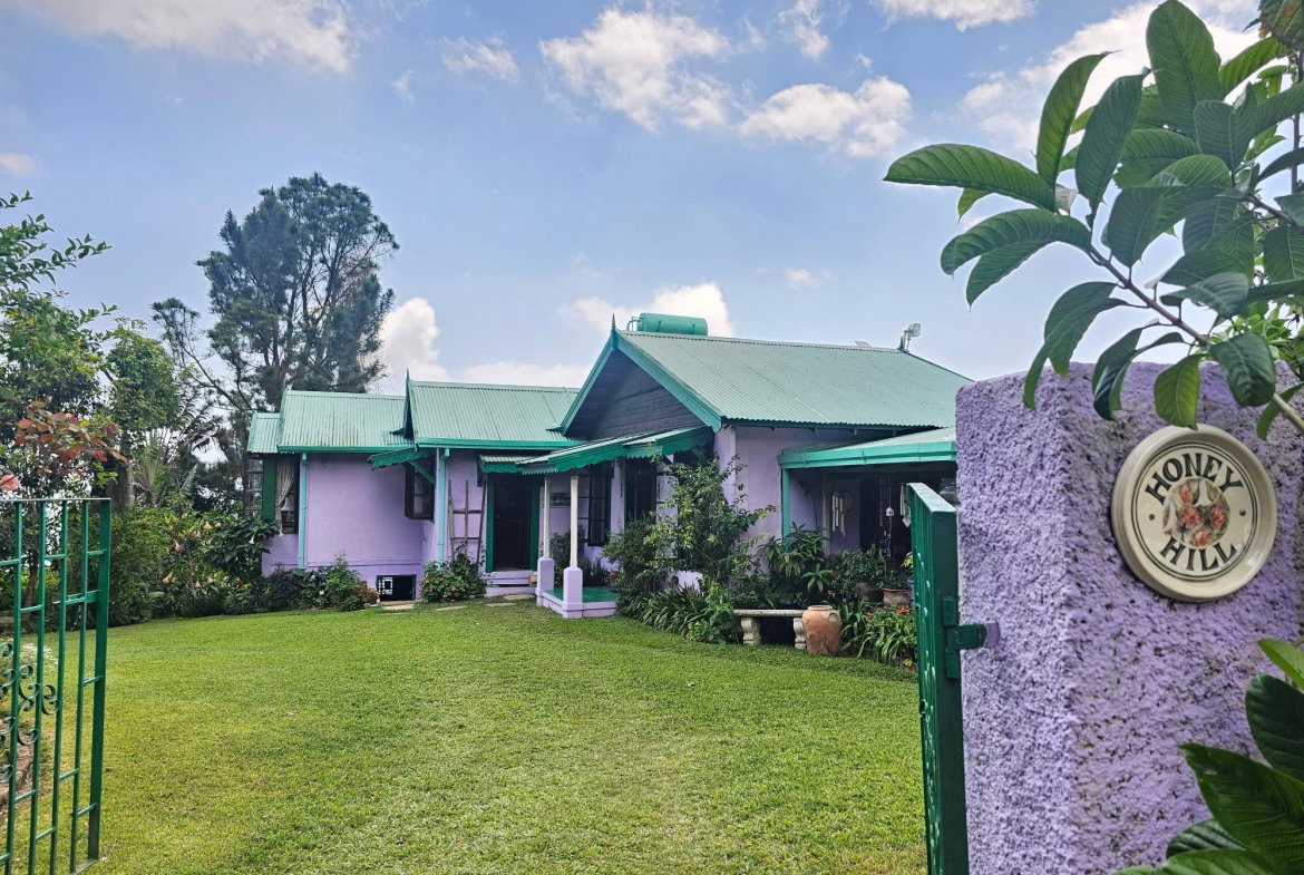 Twenty-Sixth image of Honey Hill Flamstead in Flamstead, St. Andrew, Jamaica - property is For Sale