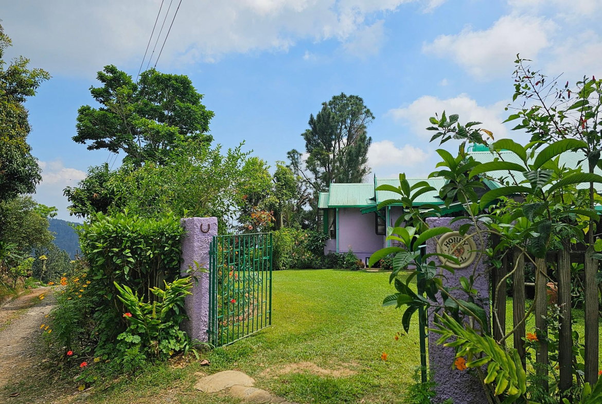 Twenty-Seventh image of Honey Hill Flamstead in Flamstead, St. Andrew, Jamaica - property is For Sale