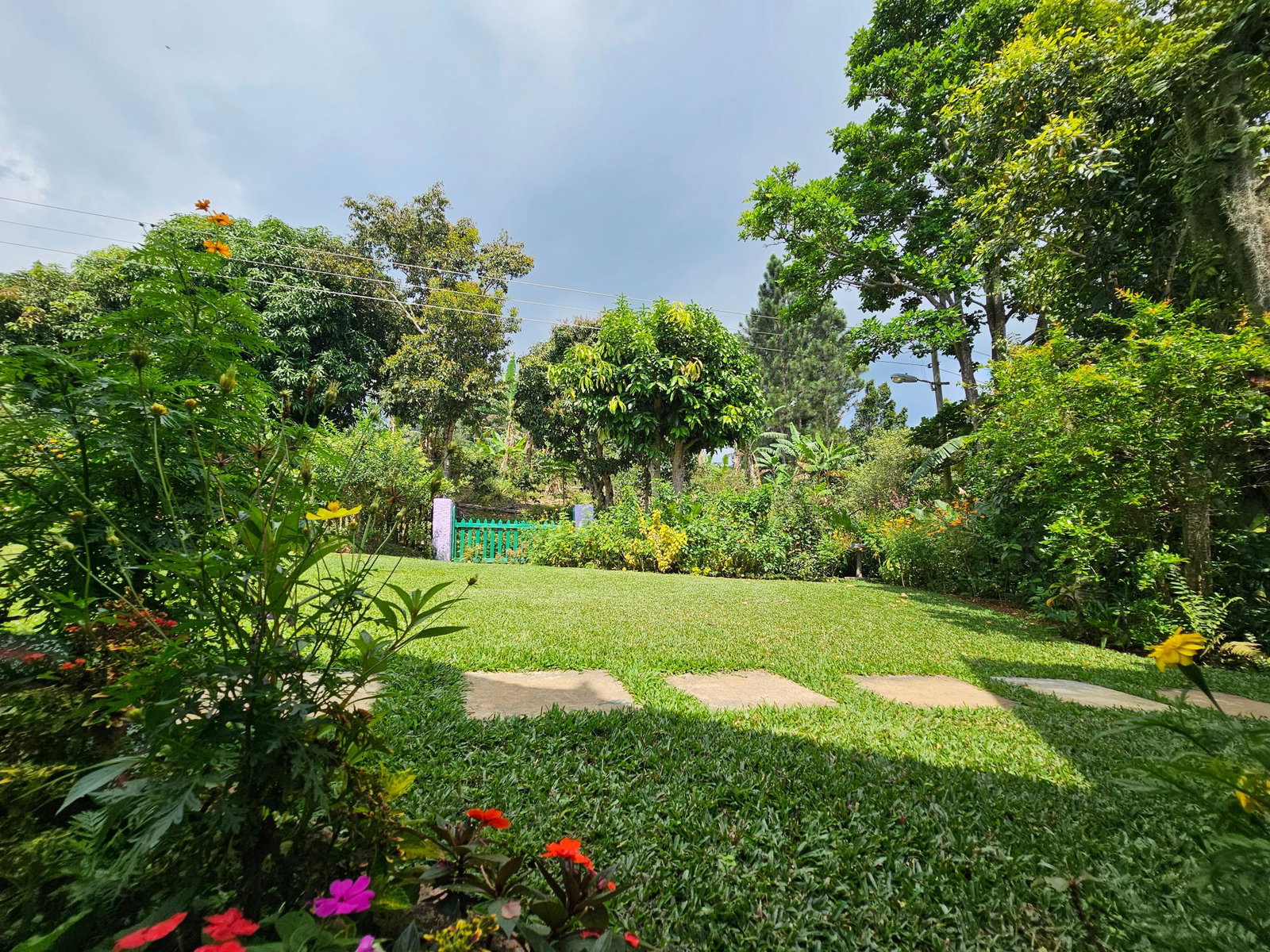 Twenty-Eighth image of Honey Hill Flamstead in Flamstead, St. Andrew, Jamaica - property is For Sale