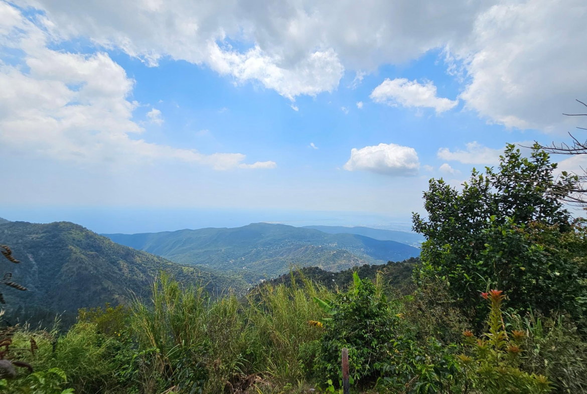 Fourth image of Honey Hill Flamstead in Flamstead, St. Andrew, Jamaica - property is For Sale