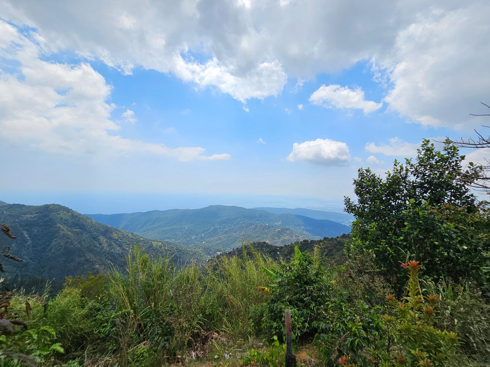 Fourth image of Honey Hill Flamstead in Flamstead, St. Andrew, Jamaica - property is For Sale