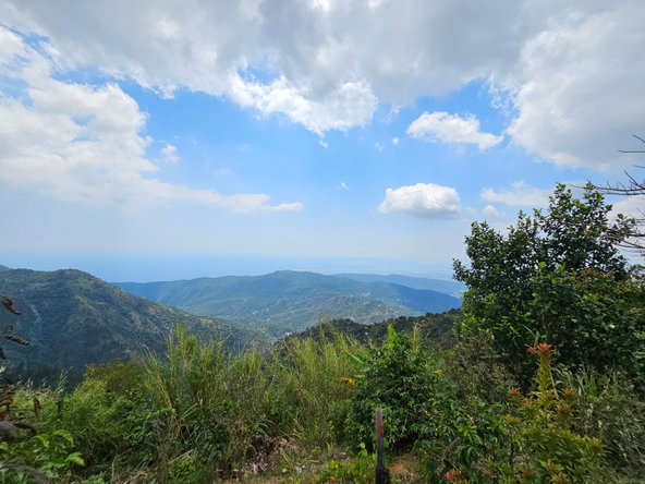 Fourth image of Honey Hill Flamstead in Flamstead, St. Andrew, Jamaica - property is For Sale