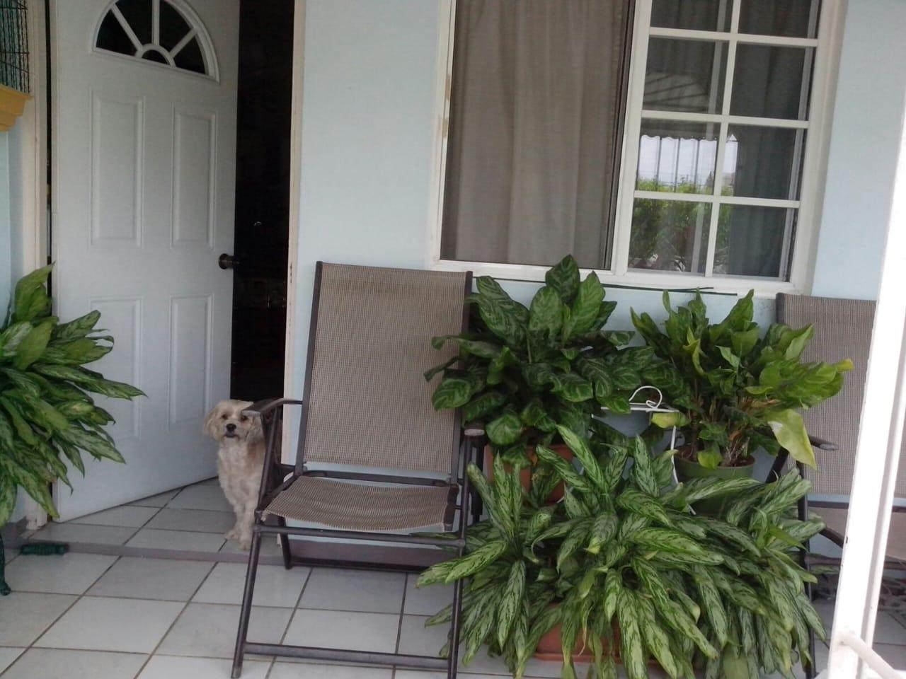 Income-Earning-2-Storey-Property-for-Sale-in-Portmore-Jamaica Seventh image of 41 South West 3rd Street, 3 in Greater Portmore, St. Catherine, Jamaica - property is For Sale