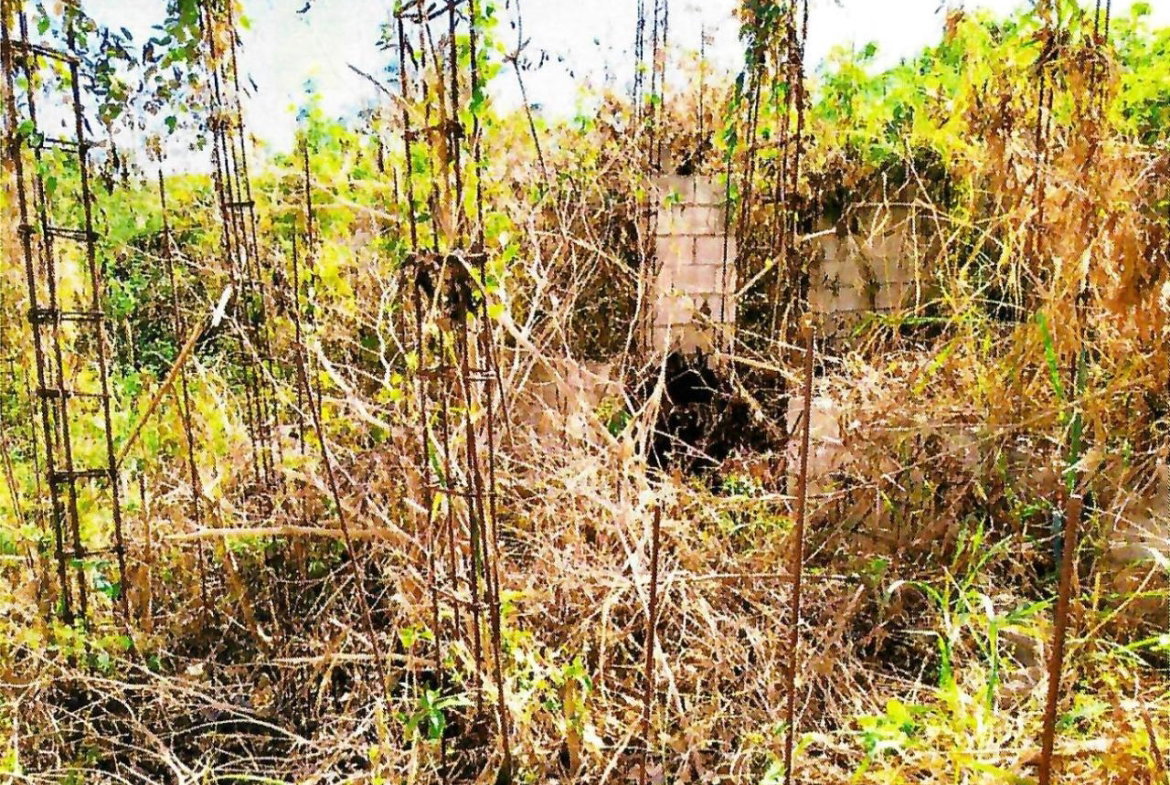 Fifth image of Lot-137 Almond Terrace in May Pen, Clarendon, Jamaica - property is For Sale