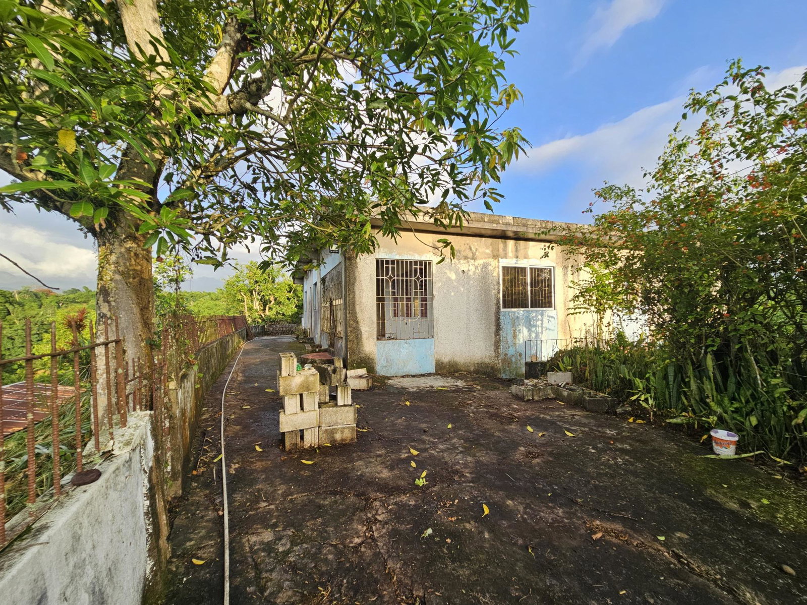 Investment-Opportunity-3-Houses-on-1-Acre-in-Lawrence-Tavern-Jamaica Twelfth image of Rose Hall District, Lawre in Lawrence Tavern, St. Andrew, Jamaica - property is For Sale