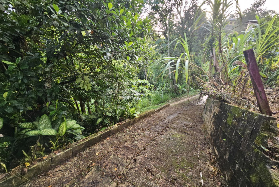 Twenty-Sixth image of Rose Hall District, Lawre in Lawrence Tavern, St. Andrew, Jamaica - property is For Sale