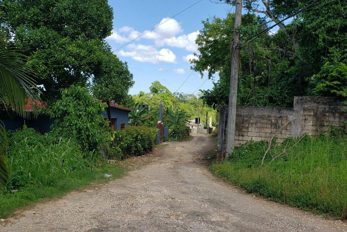 Sixth image of Bonham Spring in Exchange, St. Ann, Jamaica - property is For Sale