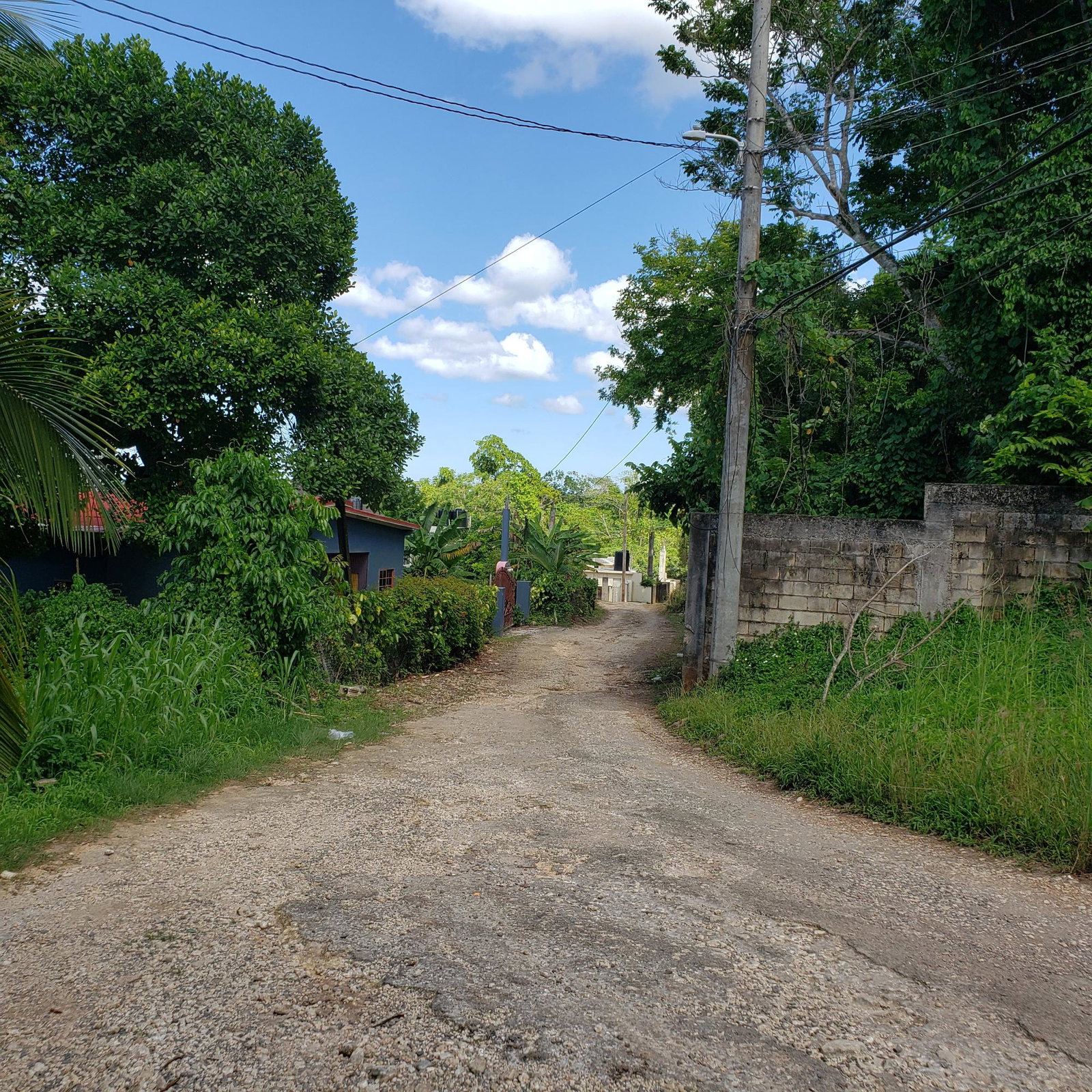 Large-Residential-Lot-for-Sale-in-Bonham-Spring-Jamaica Sixth image of Bonham Spring in Exchange, St. Ann, Jamaica - property is For Sale