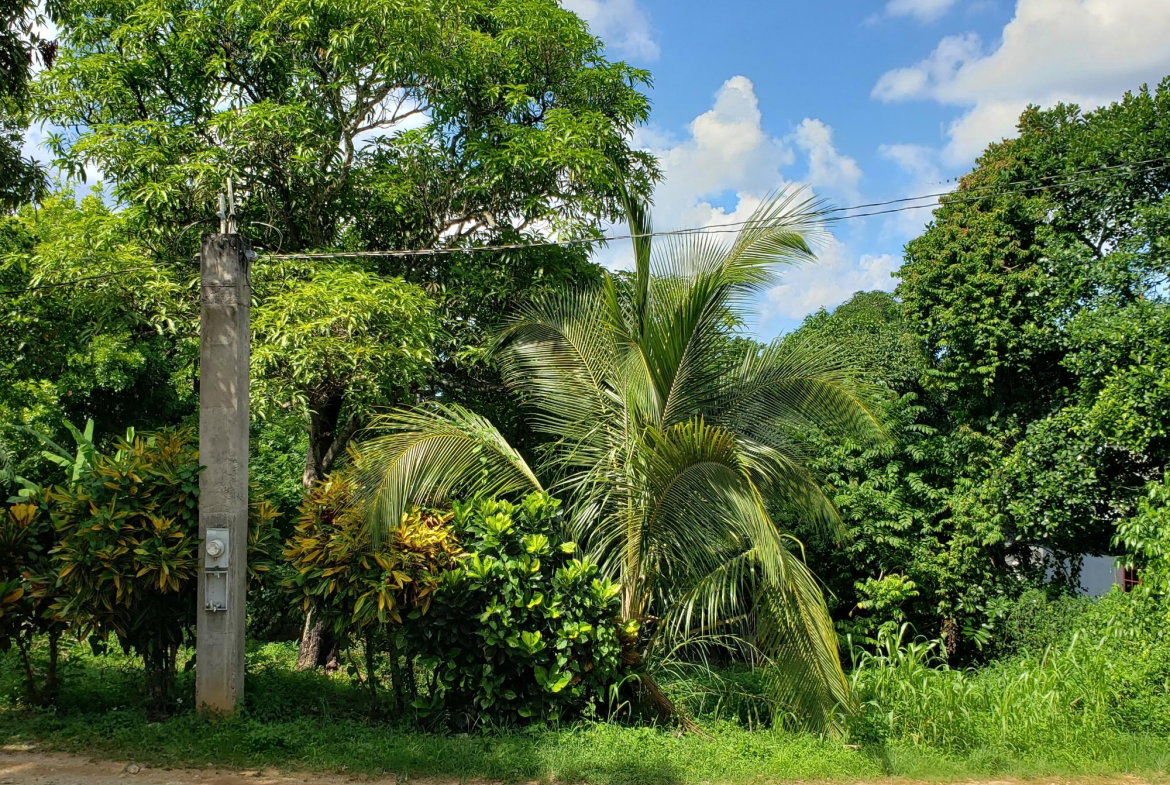 Seventh image of Bonham Spring in Exchange, St. Ann, Jamaica - property is For Sale
