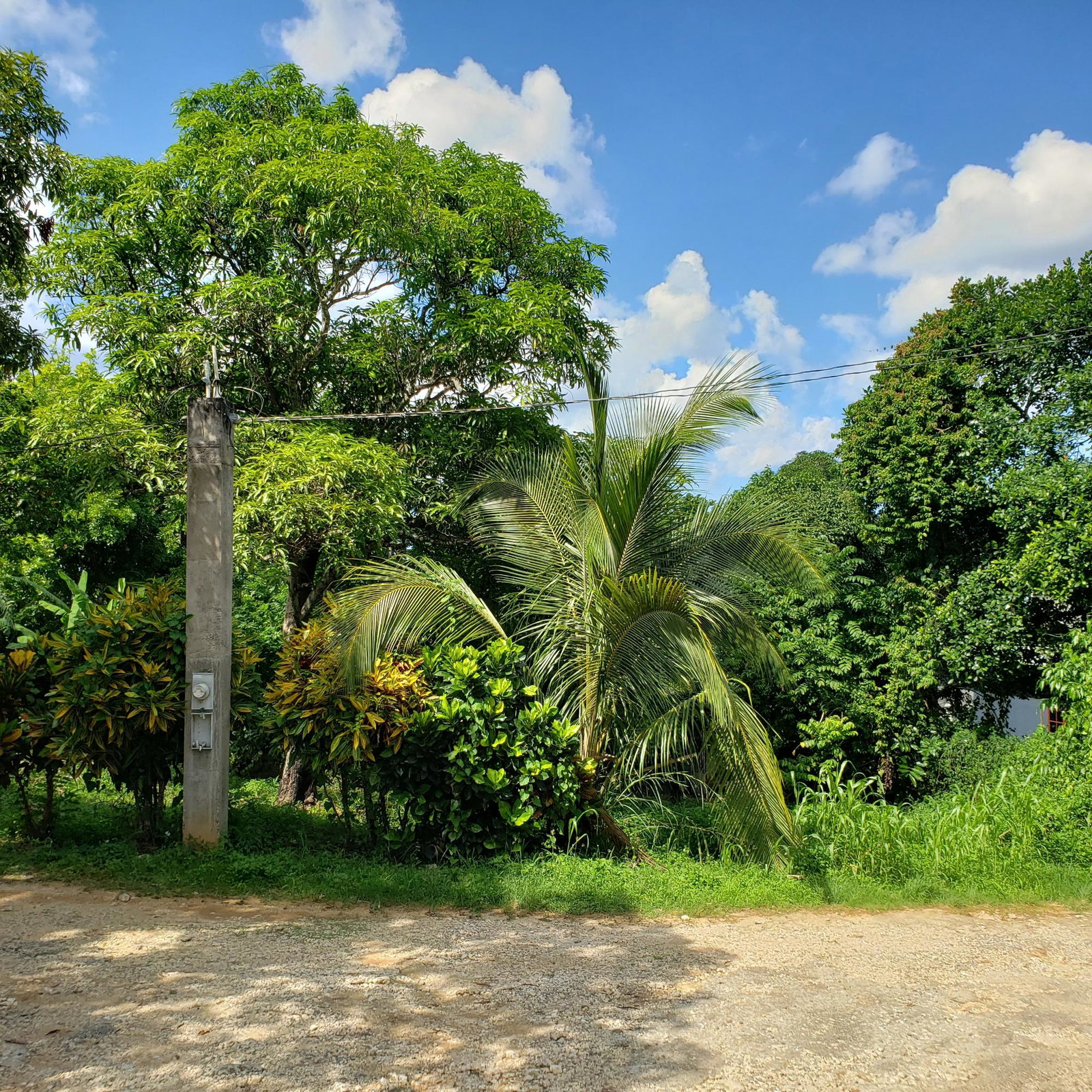 Large-Residential-Lot-for-Sale-in-Bonham-Spring-Jamaica Seventh image of Bonham Spring in Exchange, St. Ann, Jamaica - property is For Sale