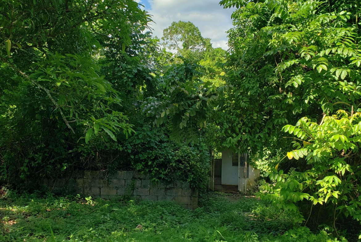 Ninth image of Bonham Spring in Exchange, St. Ann, Jamaica - property is For Sale